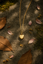 Eterna Heart Cremation Necklace