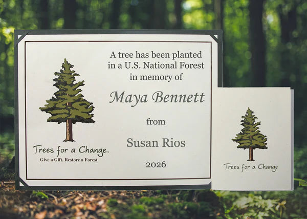 Tree Planted in Their Memory