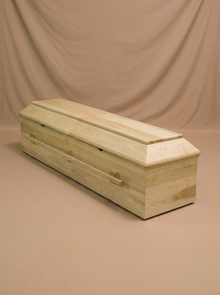 Amish 120 Natural Poplar