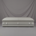 Fairview Silver Casket — view 4