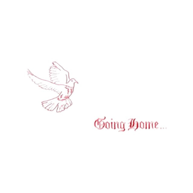 Going Home Dove (#1111)