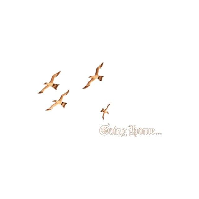Going Home Birds (#1119)