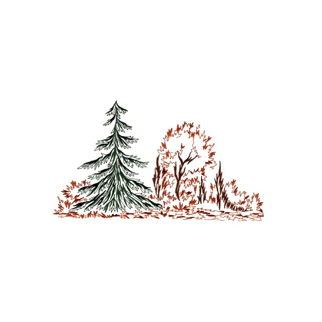 Pine and Autumn Brush (#1130)