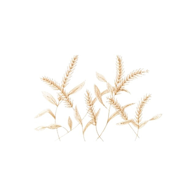 Wheat Stems (#1133)