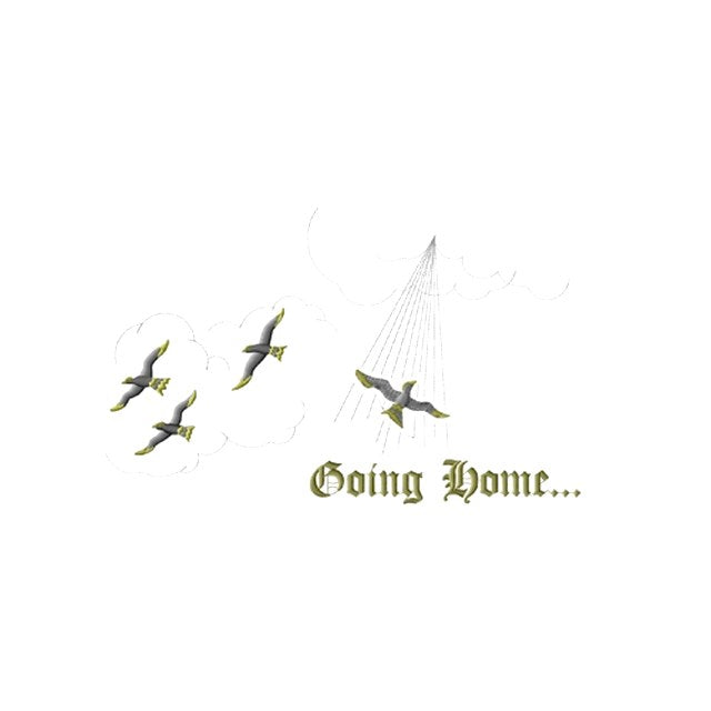 Going Home Rays (#1146)