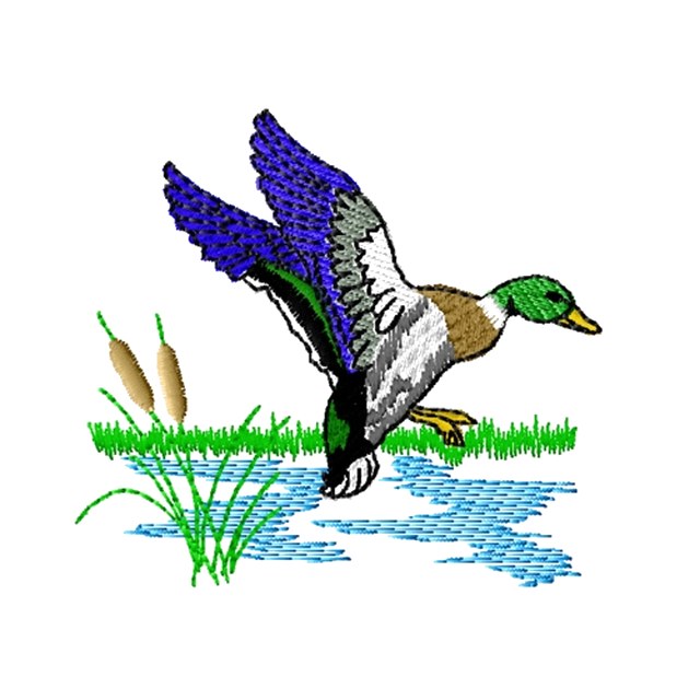 Mallard Duck (#1159)