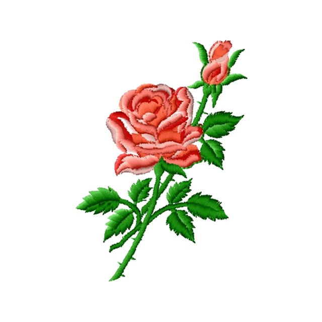 Red Rose