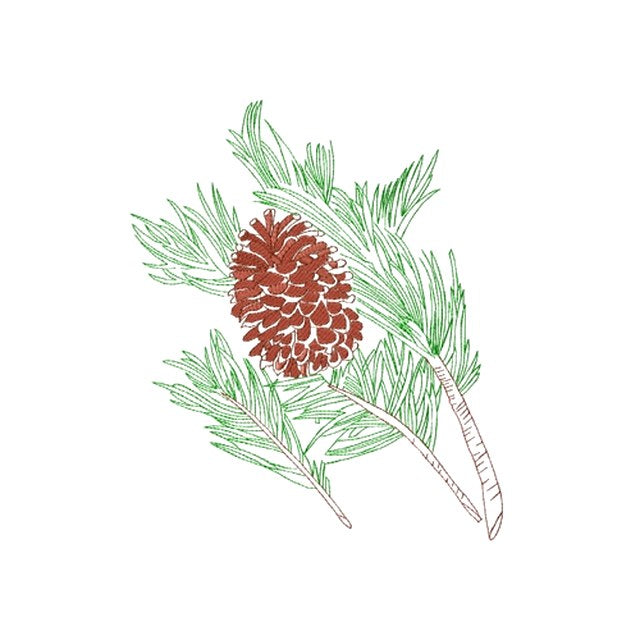 Pine Cone (#1166)