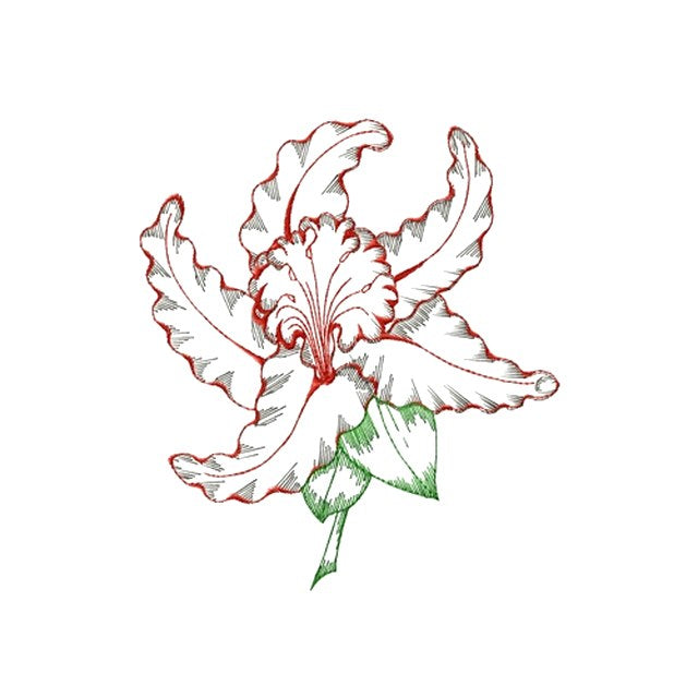 Iris Outline (#1167)