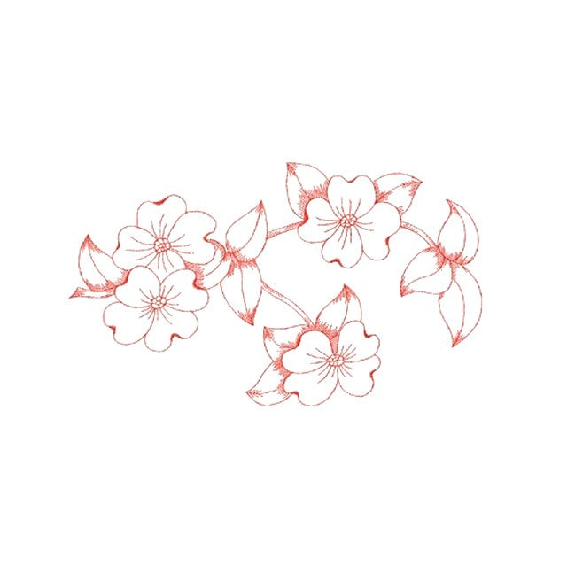 Dogwood Blossoms (#1175)