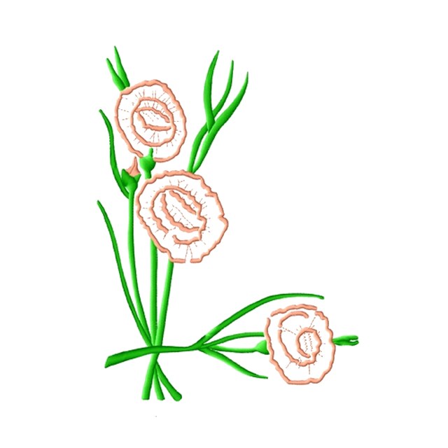Carnations (#1197)